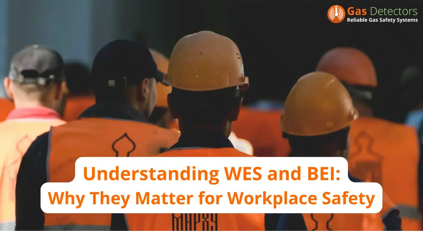Understanding WES and BEI – Why They Matter for Workplace SafetyWorkplace Exposure Standards