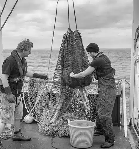 fishing-gas-detection-industry